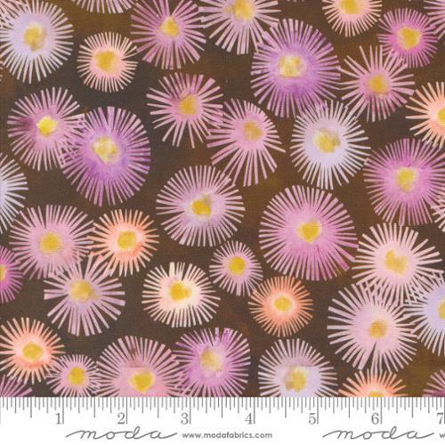 Moda Blooming Lovely Aster Florals Sepia 16972 15