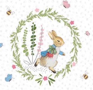 Peter Rabbit Beatrix Potter Fabric Blocks Bunnies Rabbits Mouse