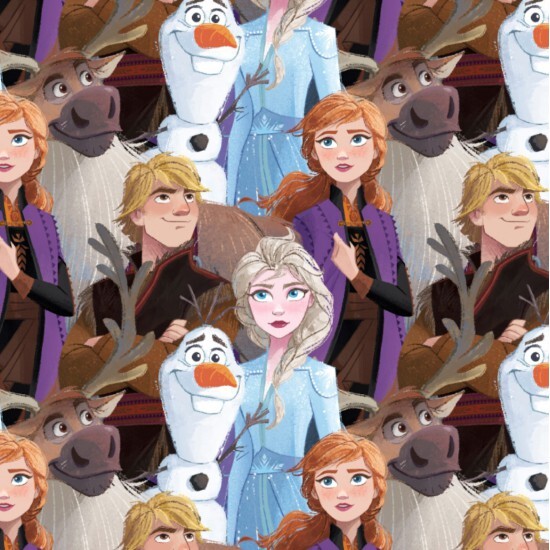 Licensed Frozen 2 Novelty Fabric - Anna, Elsa, Olaf, Kristoff, and Sven ...