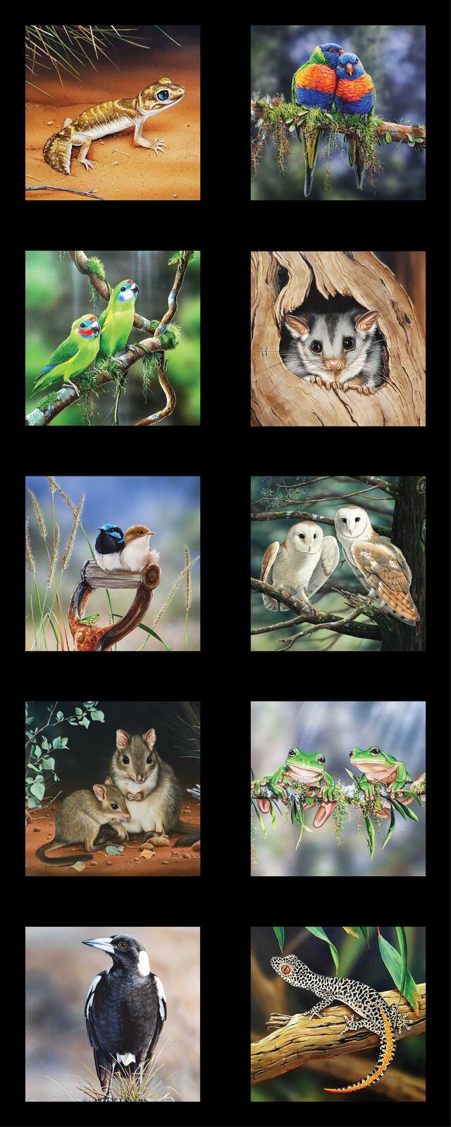 Wildlife Art 5 Australian Animals Panels designed by Natalie Jane Parker  for Devonstone -