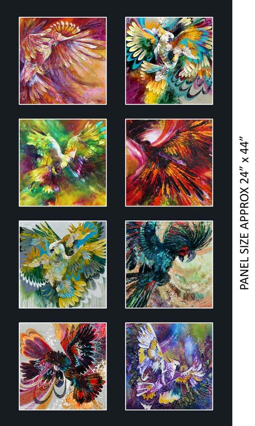 chatterbox parrots for sale chatterbox parrots for sale