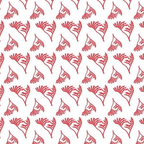 Aussie Flower Garden Kangaroo Paw Red White J