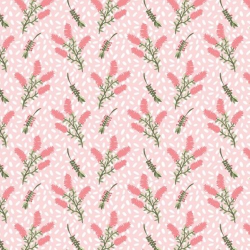 Native Blush Flower Bottle Brush Pink