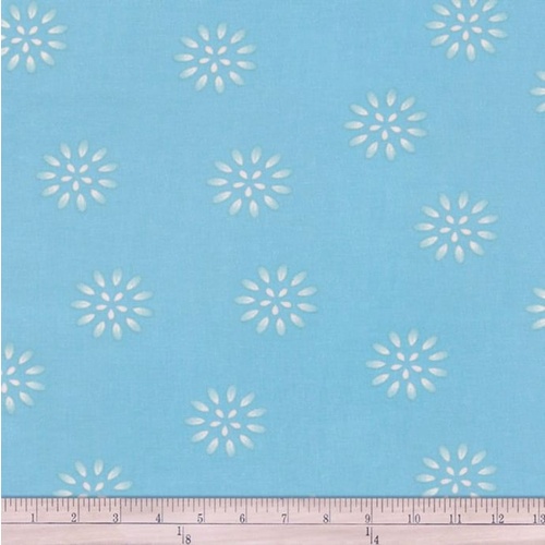 Terracina Daisy Flowers Blue