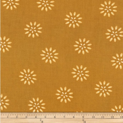 Terracina Daisy Flowers Yarrow