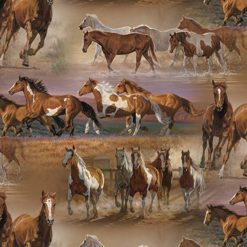 Horses in the Field