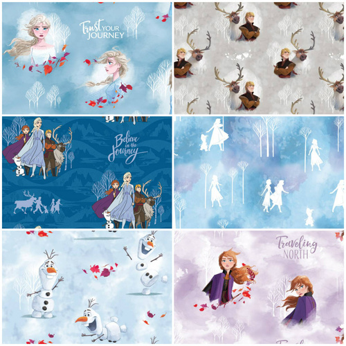 Licensed Disney Frozen 2 FQ Bundle