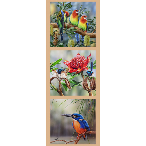 Wildlife Art Rosellas, Wren, Kingfisher Panel #1 DV3173
