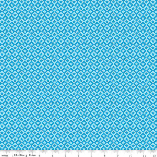 Cops and Robbers Stars Blue