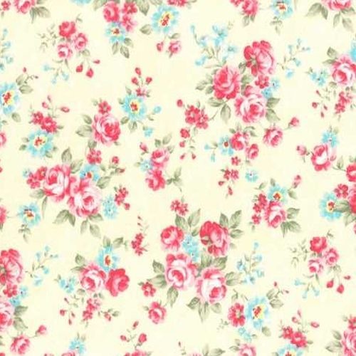 Princess Rose Medium Cream
