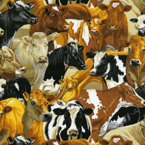 In the Country Cows
