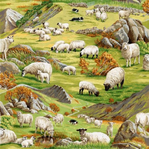 In the Country Sheep