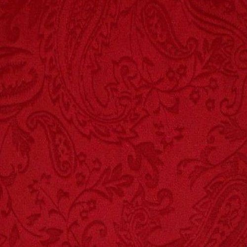 Paisley Minky Red