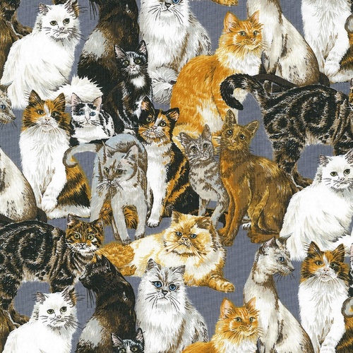 Cats Corner
