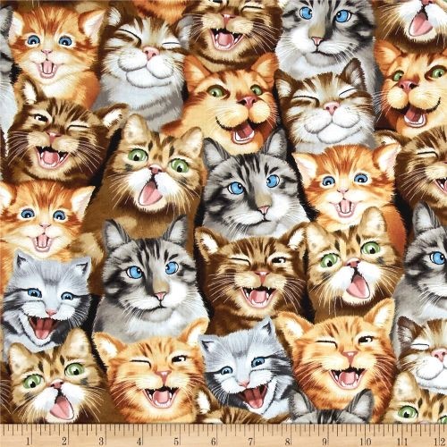 Selfie Squad Cats