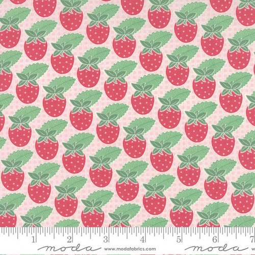 Bumble Berries Strawberry