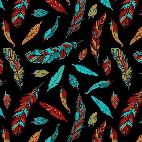 Native Spirit Whimsy Feathers Black
