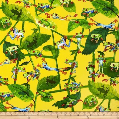 Tropical Rainforest Tree Frogs Yellow