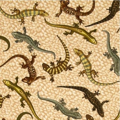 Tropical Rainforest Lizards Charcoal