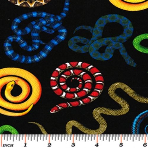 Tropical Rainforest Snakes Black