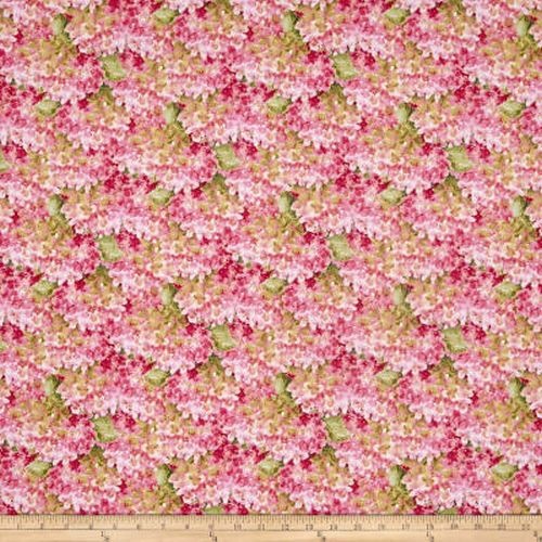 Rainbow Seeds Hydrangea Pink