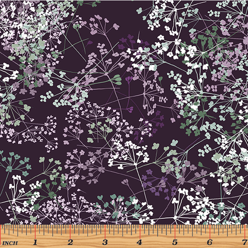 Essence of Pearl Queen Anns Lace Purple