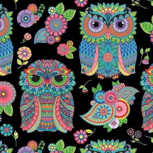 Night Bright Main Owls Black Panel