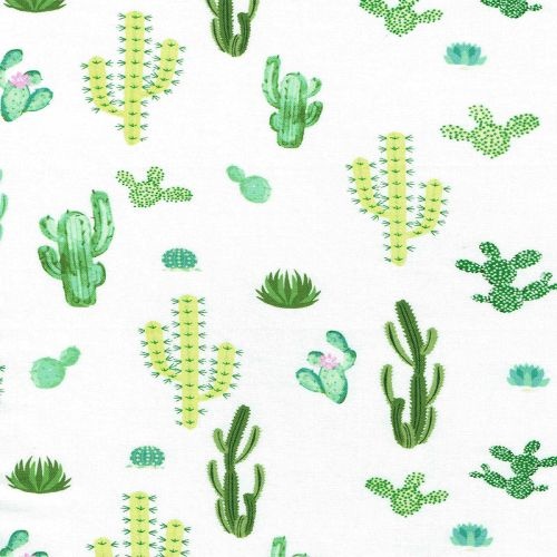 Summertime Cactus Plants