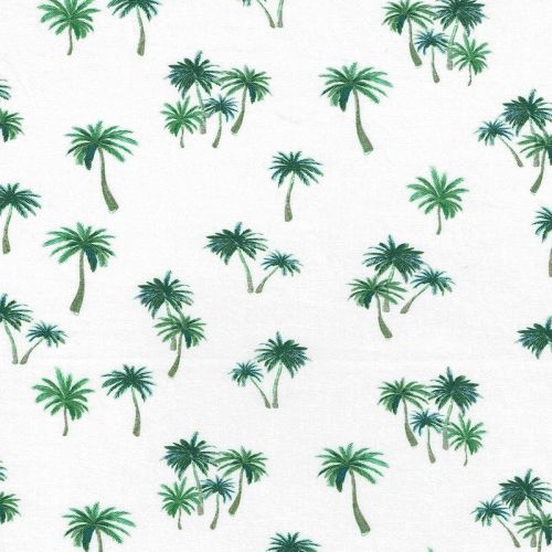 Summertime Tropical Palm Trees