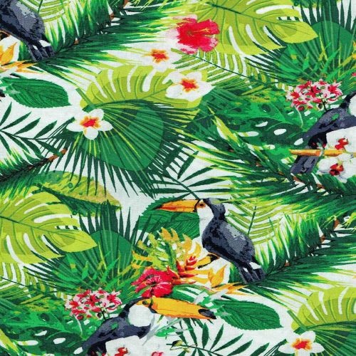 Summertime Tropical Toucan Parrots