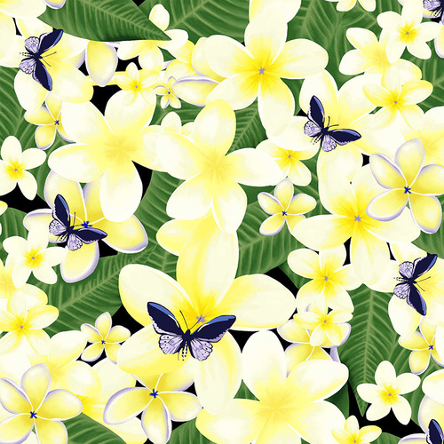 Frangipani Butterfly White