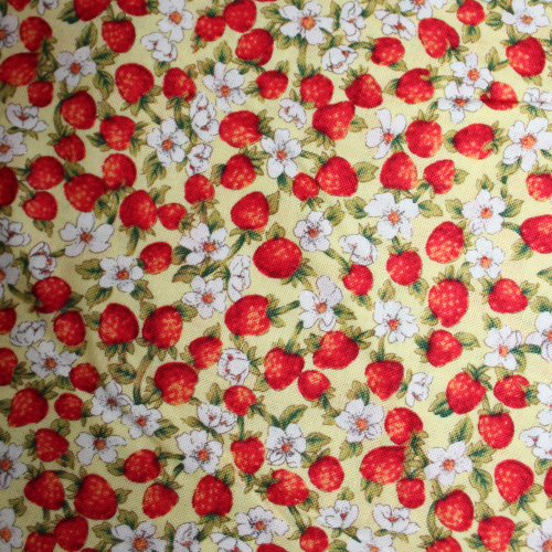 Strawberry Daisy Per Metre