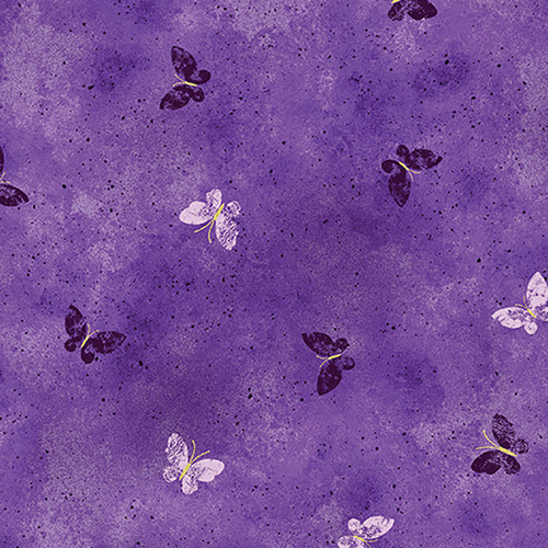 Pansy Noir Butterfly Wash Berry