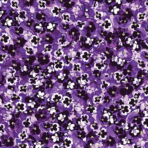 Pansy Noir Ditzy Pansies Dark Purple