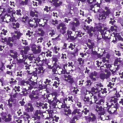 Pansy Noir Ditzy Pansies Purple