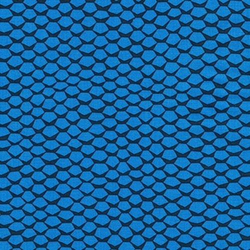 Reef Mermaid Scale Blue