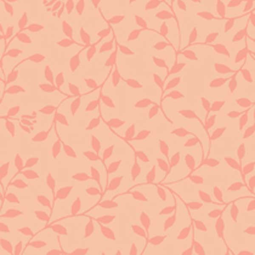 William and May Leaf Apricot