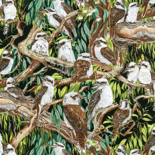 Australian Kookaburra