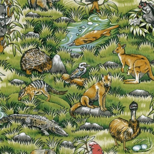 Australian Wild Animals 101 101