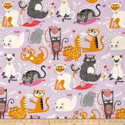 Whiskers Lavender