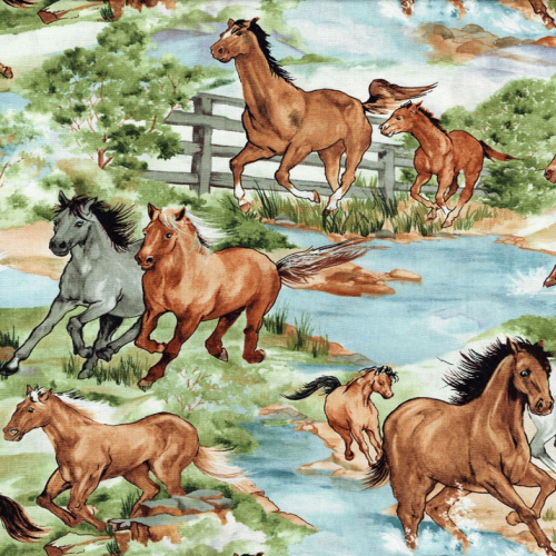 Burrangong Creek Australian Brumbies