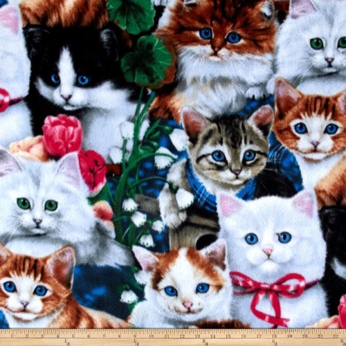 Kitten Garden