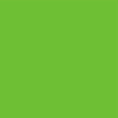 Premium Quilter's Percale Lime 008
