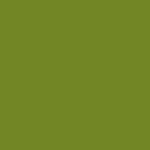 Premium Quilter's Percale Chatreuse 021