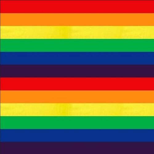Rainbow Stripe Multi