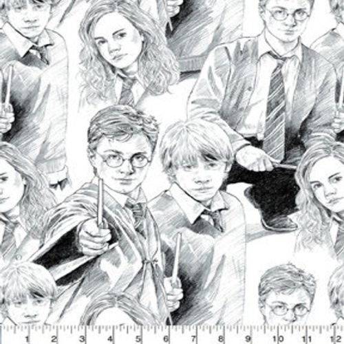 Licensed Harry Potter Sketch Fabric