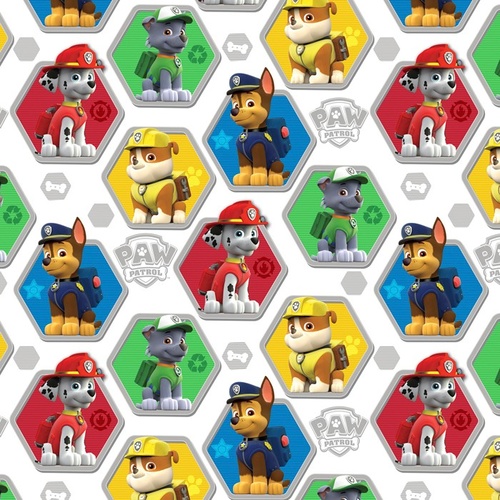 Paw Patrol Rescue