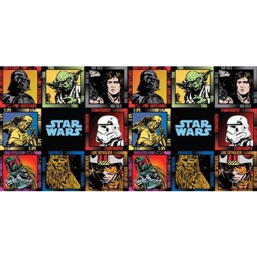 Licensed Disney Star Wars Panel