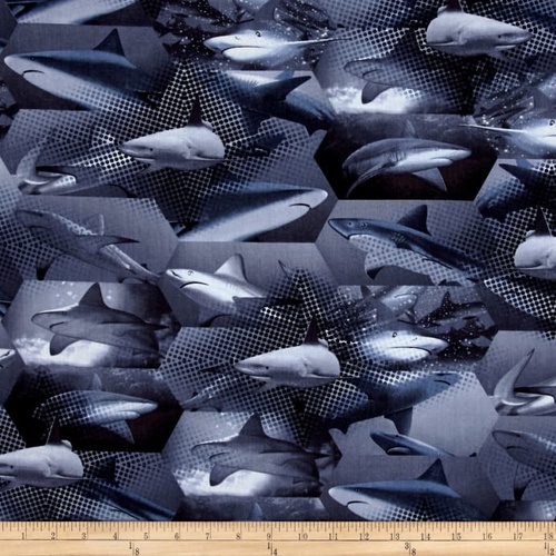 Ocean Ave Sharks Grey