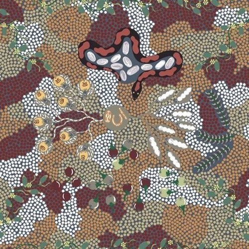 Aboriginal Bush Tucker Dreaming Snakes